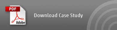 download pdf